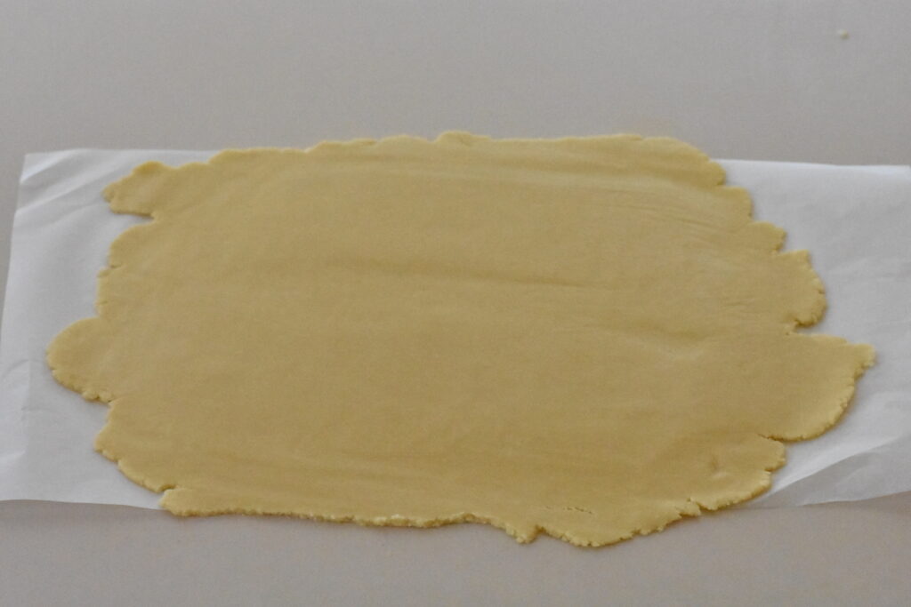 Tart dough rolled into rough circle.