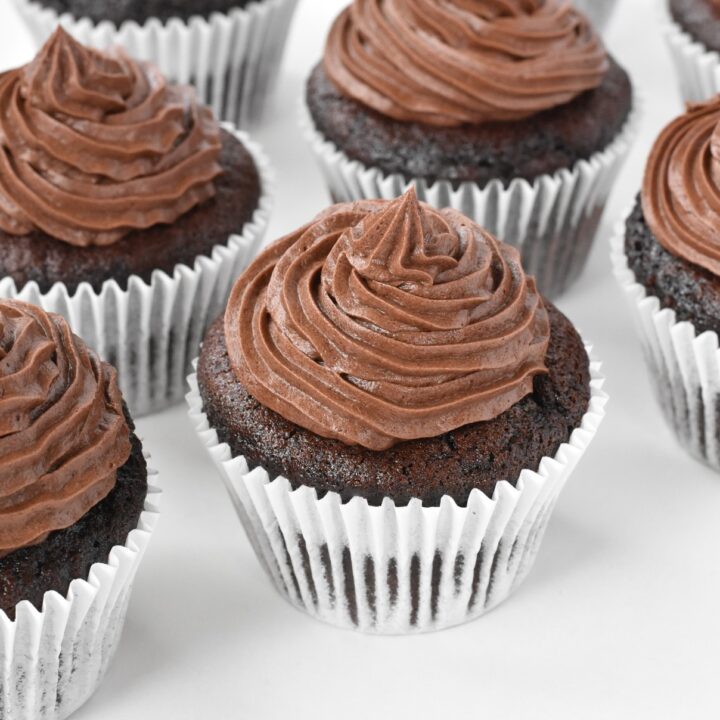 Chocolate cupcakes with buttercream swirls in a row.
